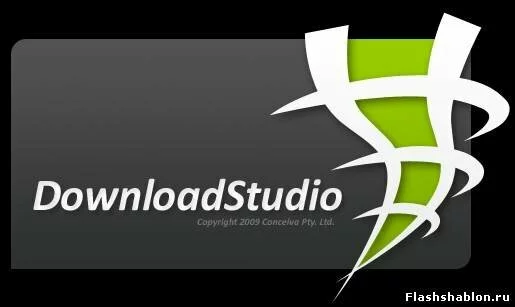 DownloadStudio - это универсальный комбайн для скачивания файлов и сайтов из Интернета.